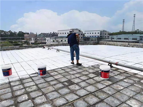 万江卫生间补漏 卫生间补漏公司 志顺建筑 推荐商家